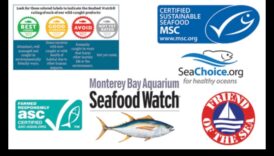 تابع المأكولات البحرية المستدامة: الشهادات والعلامات التي يجب البحث عنها