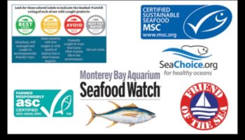 تابع المأكولات البحرية المستدامة: الشهادات والعلامات التي يجب البحث عنها