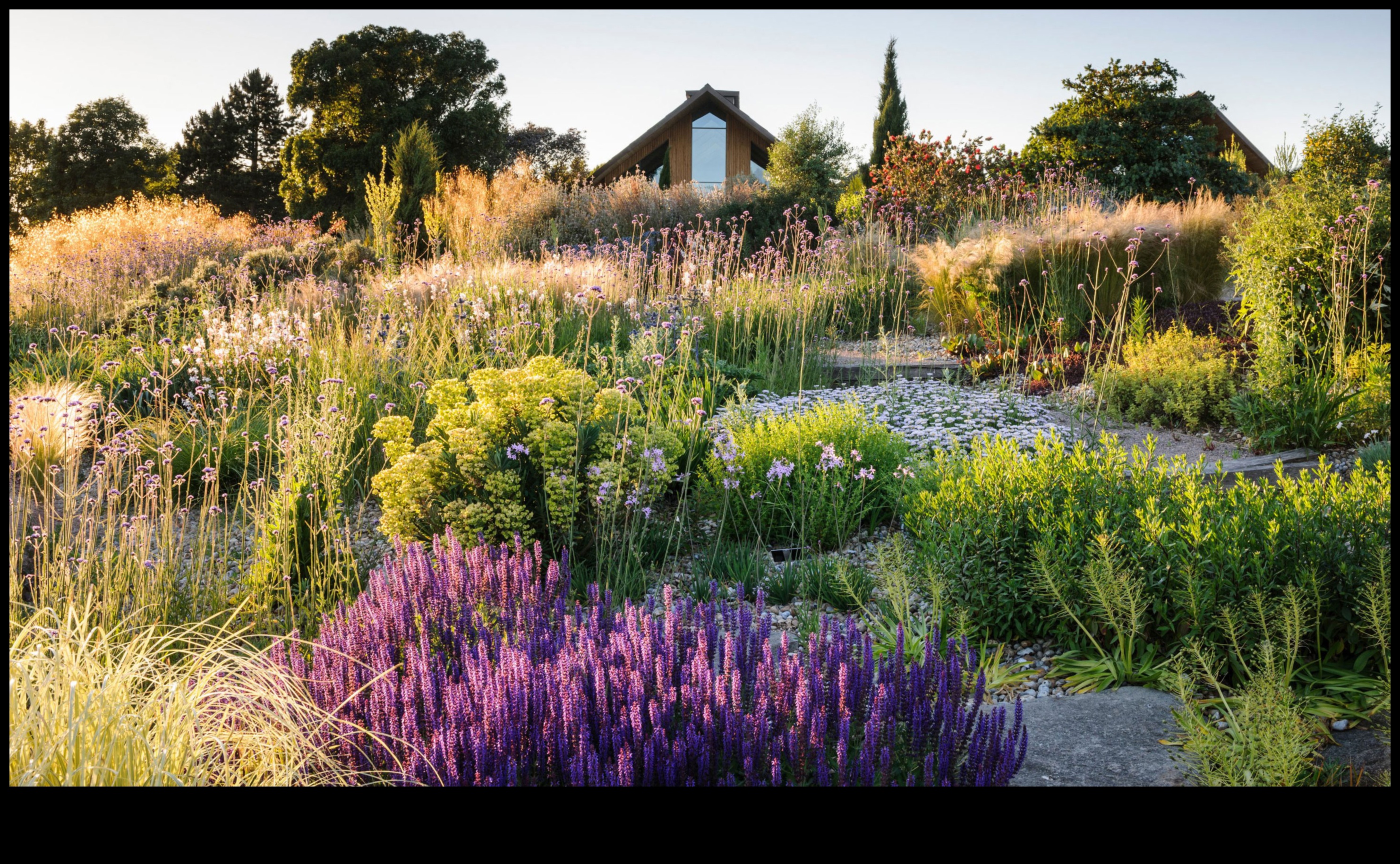 حدائق أكثر خضرة: قم بترقية مجموعة أدواتك لتحقيق النجاح