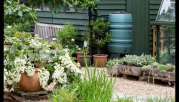 حدائق أكثر خضرة: قم بترقية مجموعة أدواتك لتحقيق النجاح