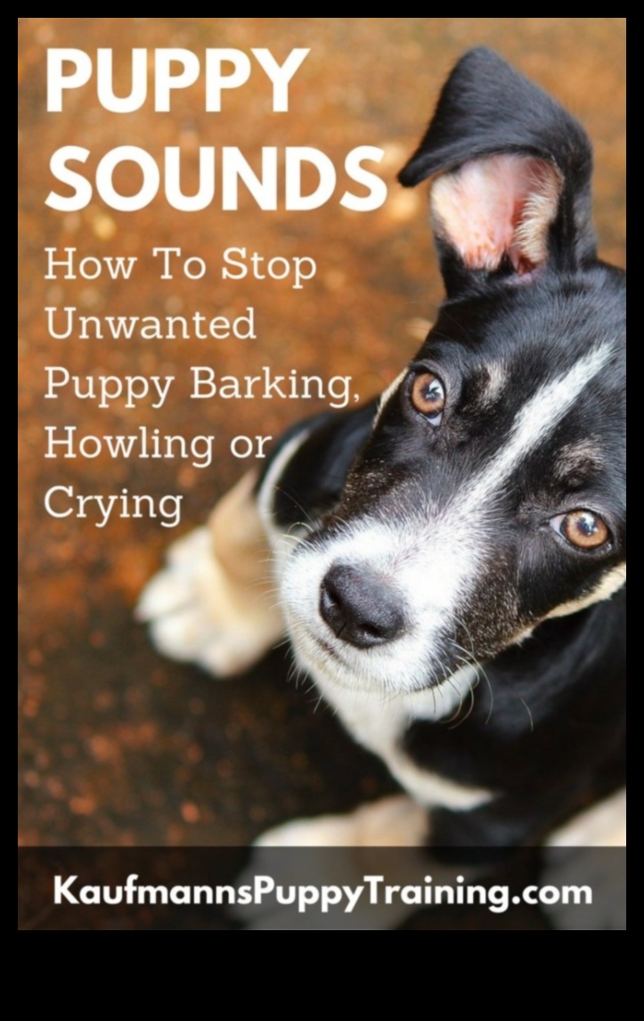 تناغم العواء فهم ومعالجة نباح الكلب 3 انسجام العواء: فهم ومعالجة نباح الكلاب