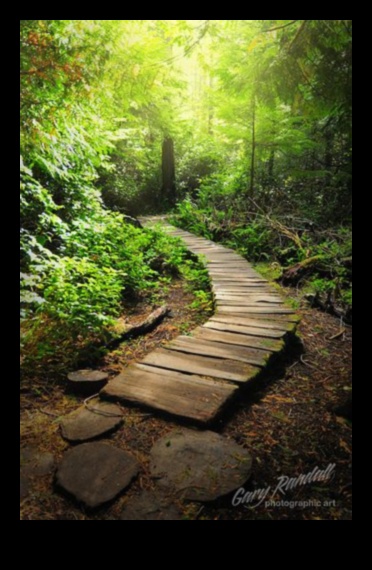 مسارات هادئة: مسارات إلى النعيم في حديقتك 2 مسارات هادئة: مسارات تصميم الحدائق إلى النعيم