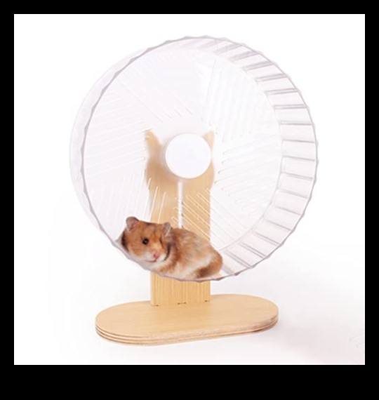 واصلت سلامة عجلة الهامستر تعزيز روتين التمارين الصحية 3 استمرار سلامة عجلة الهامستر: تعزيز روتين التمارين الصحية