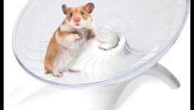 واصلت سلامة عجلة الهامستر إعطاء دفعة لـ روتين التمارين الصحية 6 استمرار سلامة عجلة الهامستر: تعزيز روتين التمارين الصحية