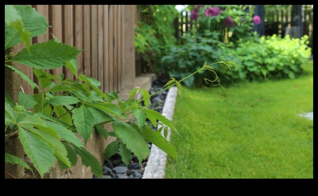 الرفاق الأخضر: أسرار الانسجام الناجح في الحديقة