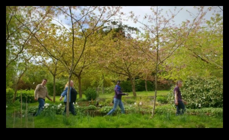 الرفاق الأخضر: أسرار الانسجام الناجح في الحديقة