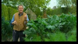 الأصدقاء الخضر: أسرار فناء خلفي متناغمة لصاحب البيت المناقشة 5 الرفاق الأخضر: أسرار الانسجام الناجح في الحديقة