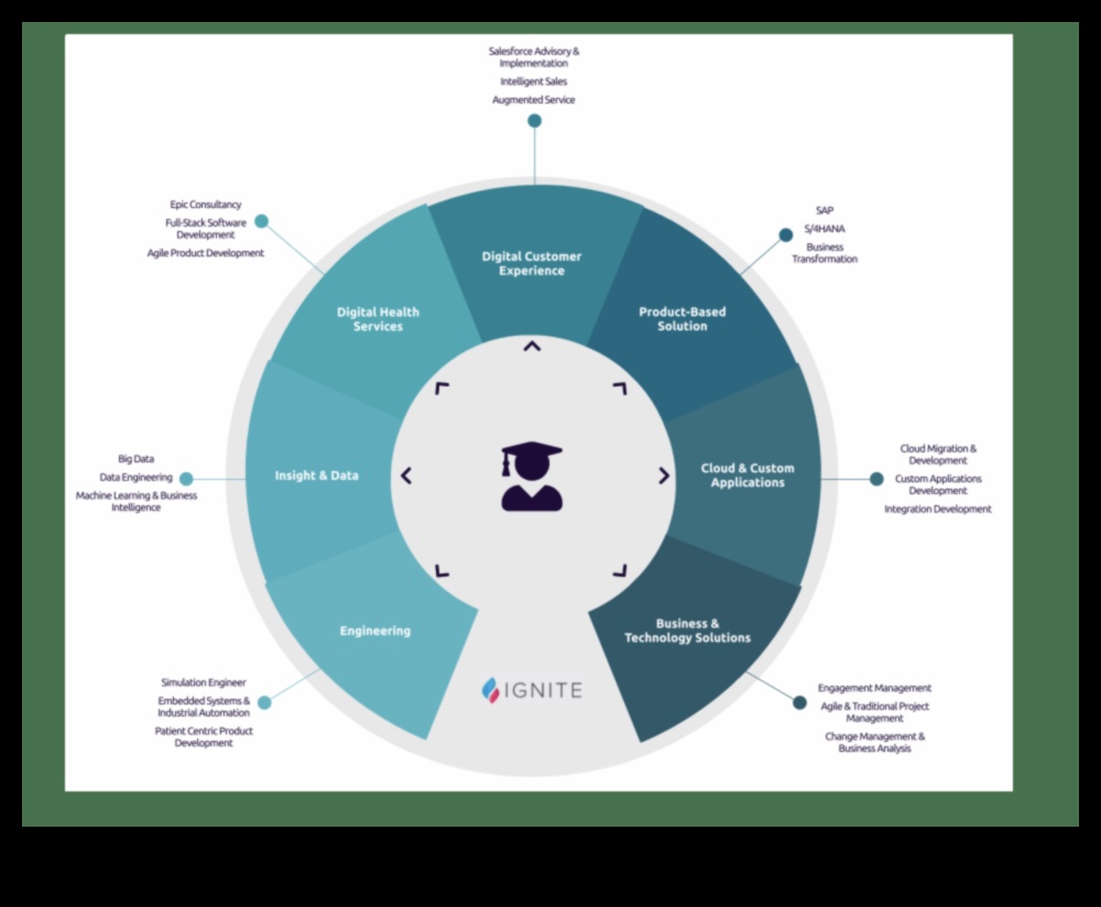 الابتكار والتكامل والشعلة: إتقان تطوير الأعمال