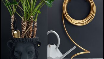 Garden Glory: ارفع مستوى مساحتك الخضراء باستخدام أفضل الأدوات