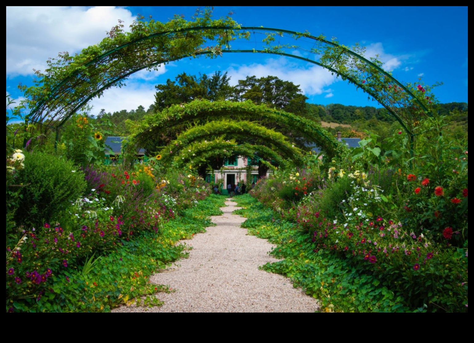 الانسجام في بلوم: إطلاق العنان لإلهام تصميم الحدائق