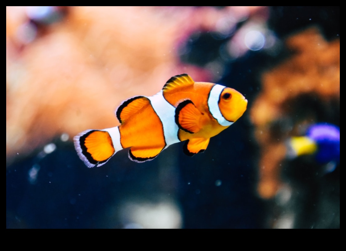 المطبخ المائي: مغامرات الطهي مع أنواع الأسماك الأقل شهرة