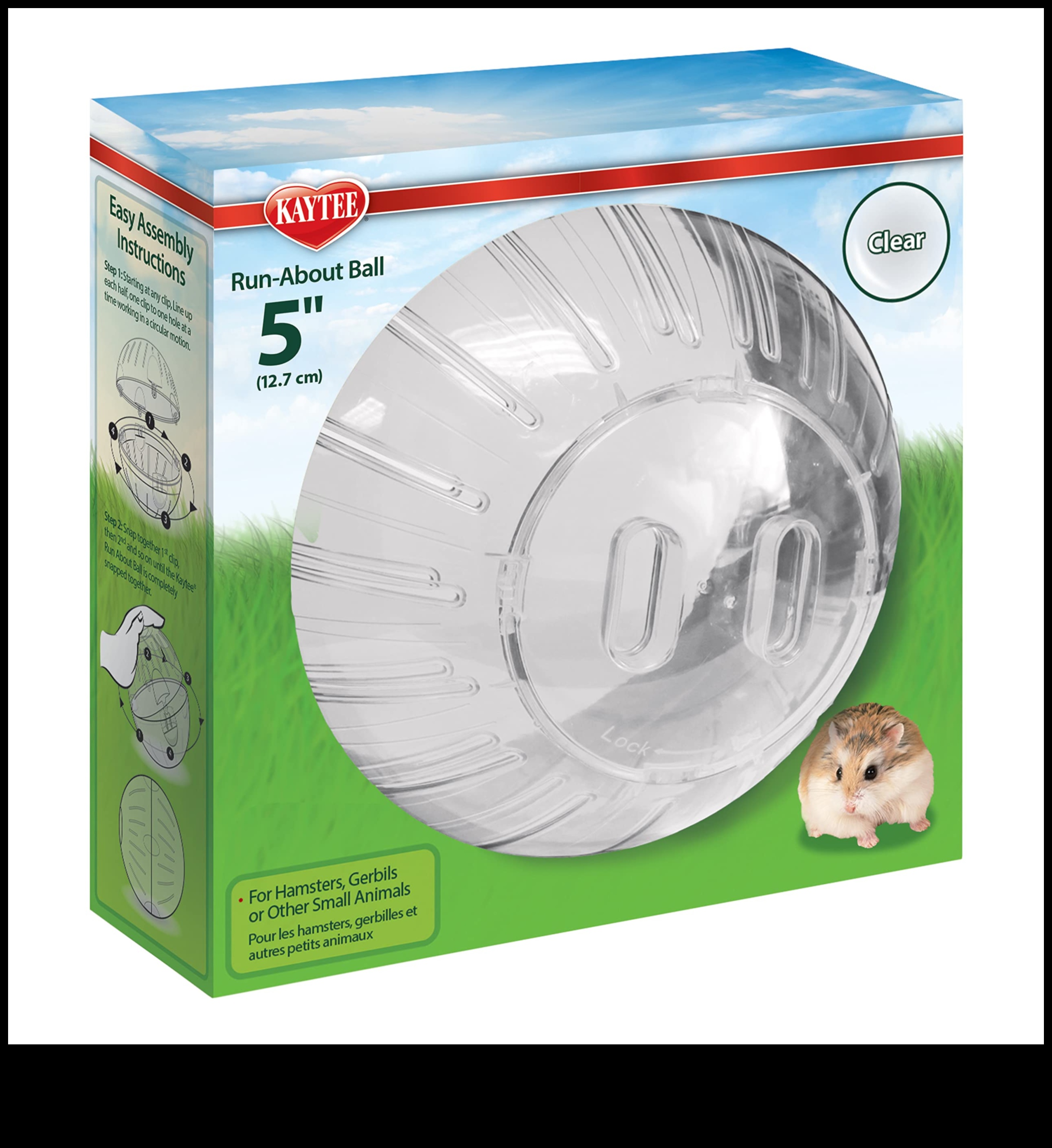 ما وراء الكرة: خيارات التمرين البديلة للهامستر