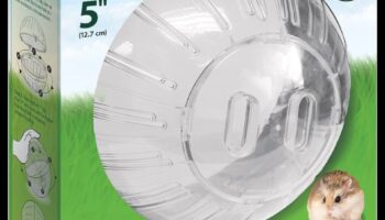 ما وراء الكرة: خيارات التمرين البديلة للهامستر