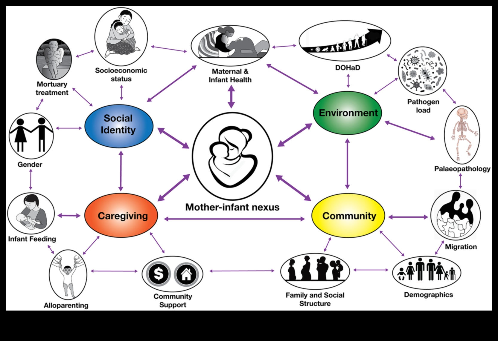 مهد الرعاية: نهج شامل لصحة الطفل
