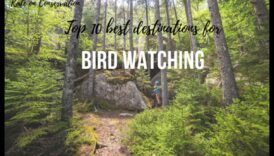 أعظم المواقع للنظر إلى الطيور على Birder's Paradise 5 جنة الطيور: أفضل الوجهات لمشاهدة الطيور