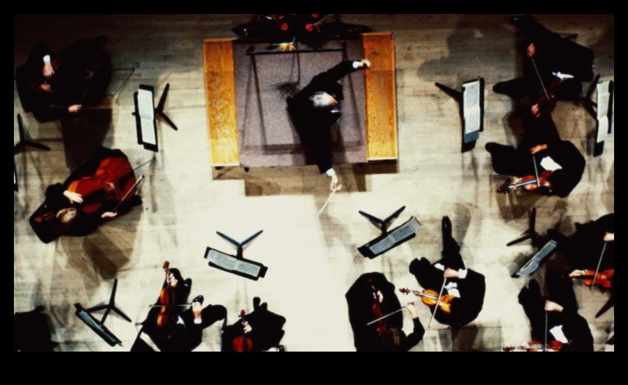 سيمفونية الشركات الناشئة: تنسيق العاطفة والربح