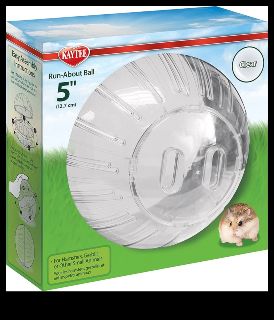 ما وراء الكرة: خيارات التمرين البديلة للهامستر